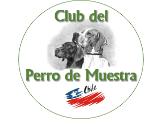 le logo
