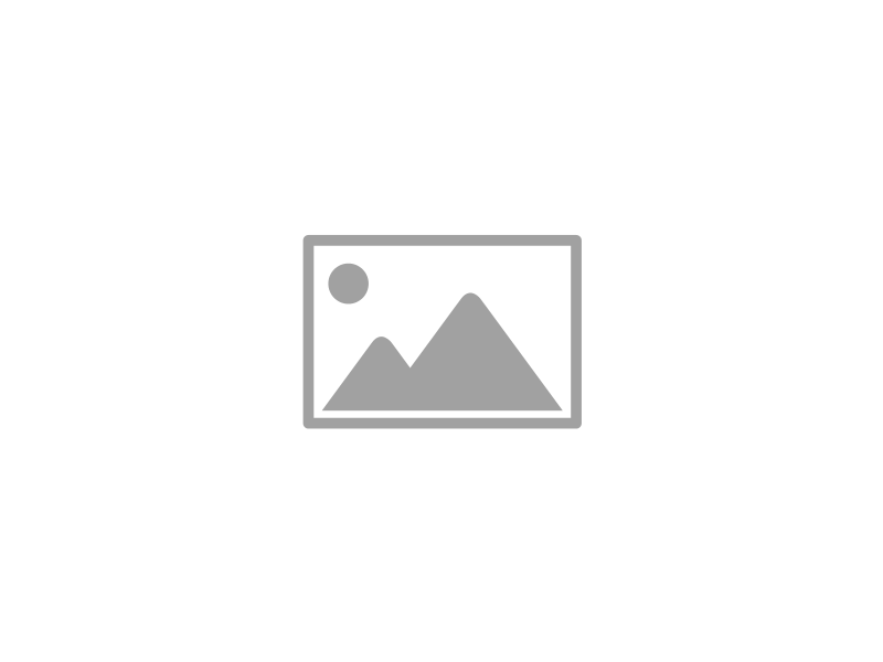 Deutsch Drahthaar de La Shara