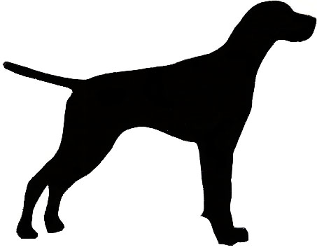 pointer