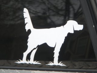 il_570xN.446063241_ay2d